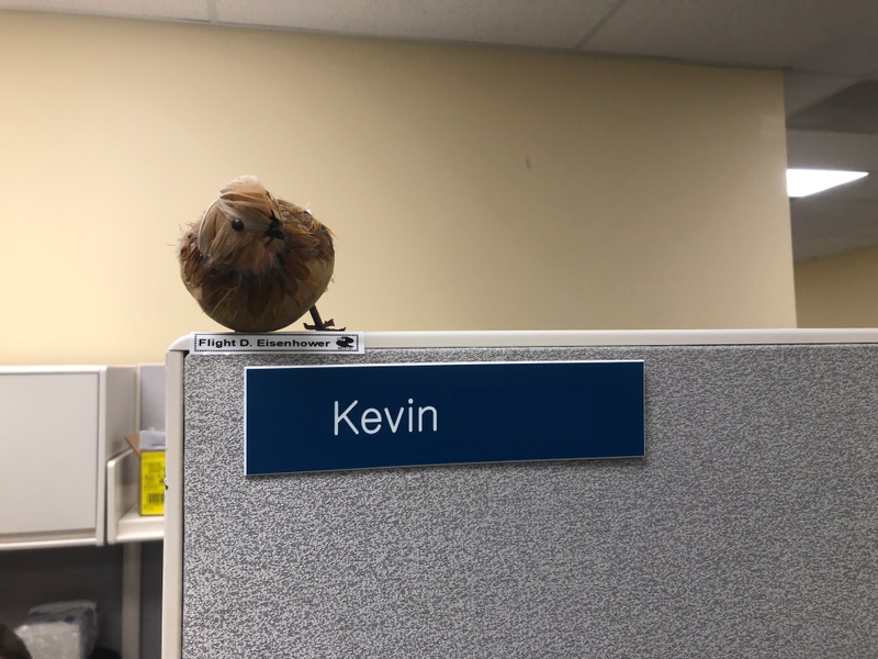 Illustration for article titled I got a bird for my cubicle, now all my coworkers have themÂ